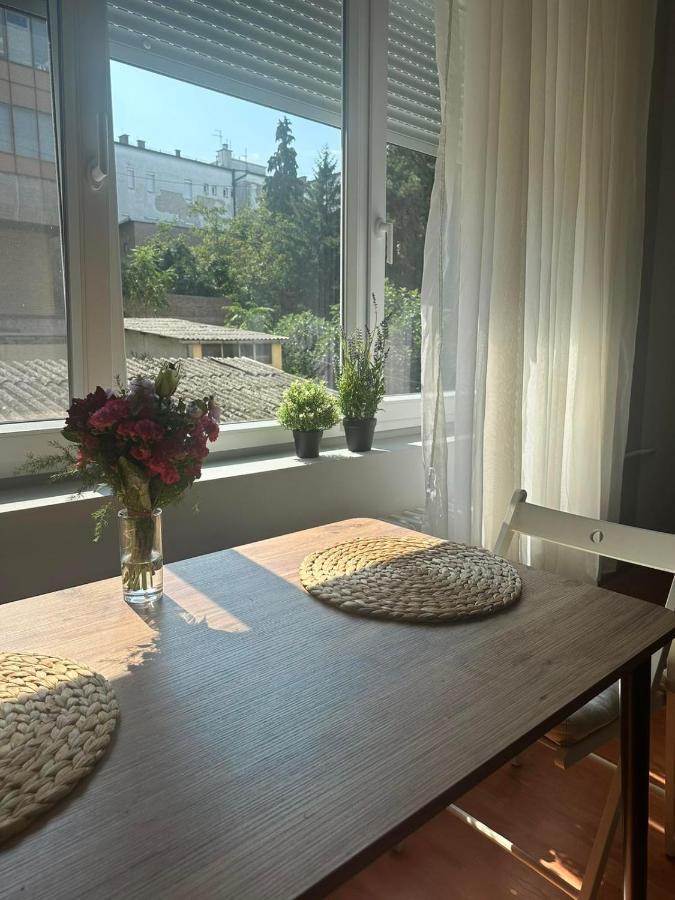 Eva Apartment Novi Sad Dış mekan fotoğraf